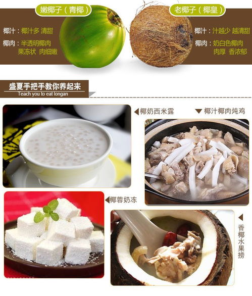 海南老椰子批发 品质之选，新鲜直达