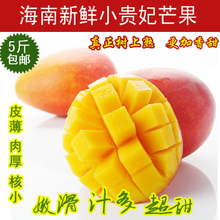 新鲜广西青皮芒果 从田园到餐桌的卓越品质指南